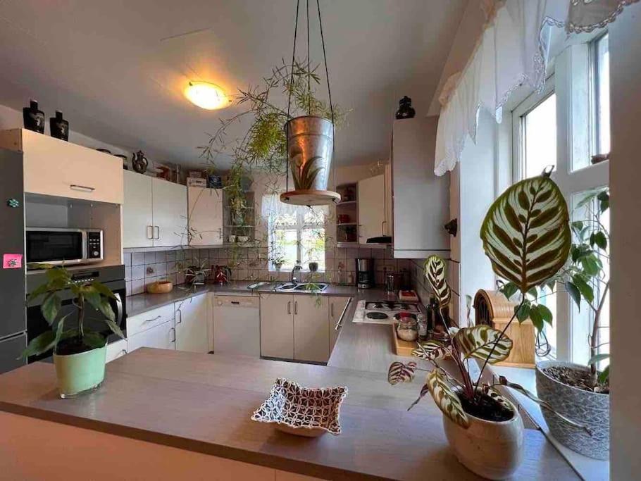 Nylenda Appartement Seyðisfjörður Buitenkant foto